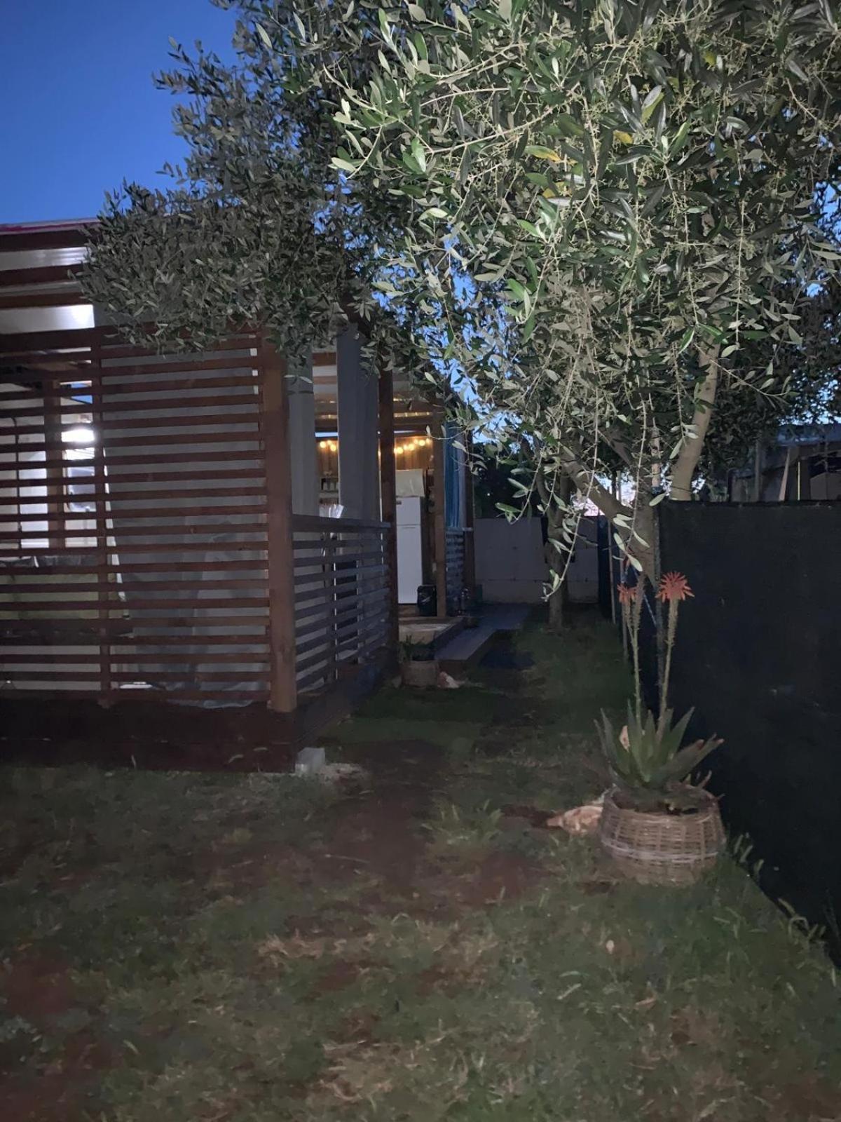 فندق Large Camper In The Olive Grove بنجول المظهر الخارجي الصورة